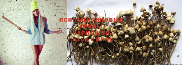 MESCALINE Алексеевка
